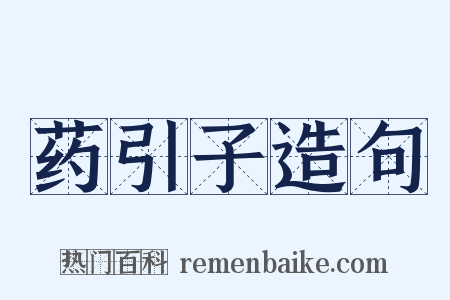 药引子造句是什么意思的图片
